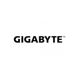 GIGABYTE (0)